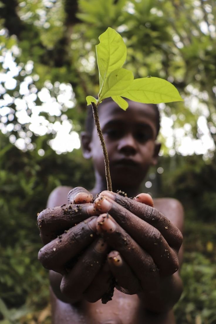 This Is What Climate Change Looks Like_ 50 Photos From Our #ClimateChange2020 Competition